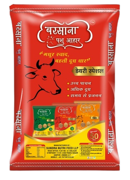 Dairy Special - Front View