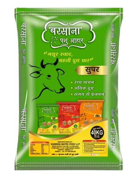 Barsana Super - Front View