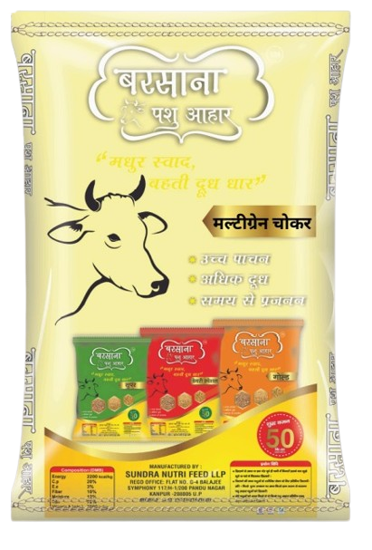 Multigrain Choker - Front View