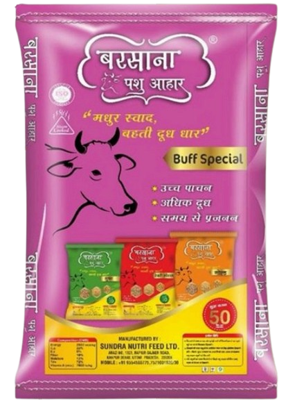 Buffalo Special - Front View