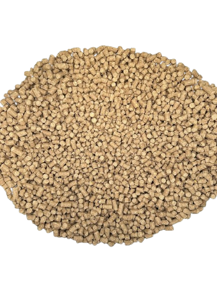 Barsana Super - Back View