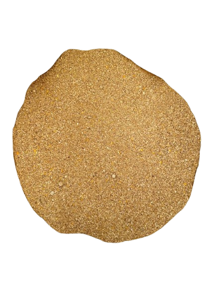 Barsana Gold - Back View