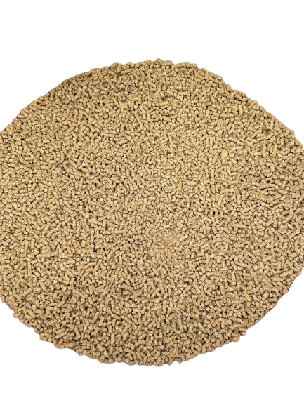 Dairy Special - Back View